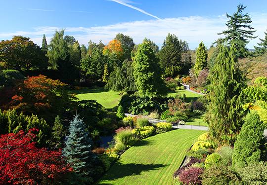 Queen Elizabeth Park