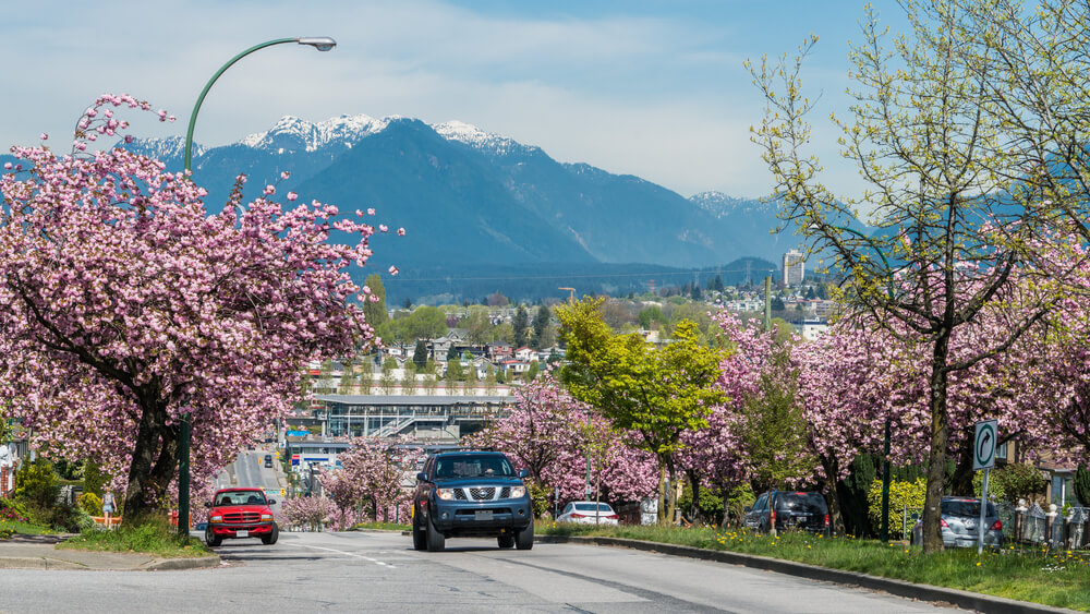 exploring vancouver by car