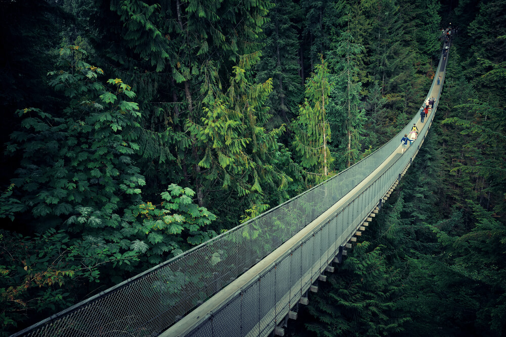 Capilano Suspension Bridge