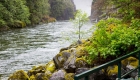 River in Capilano Canyon