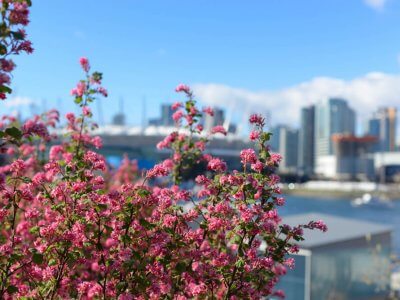 Spring in Vancouver