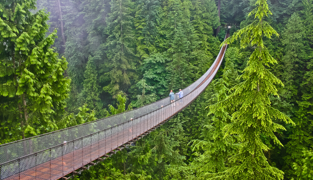 suspension bridge vancouver