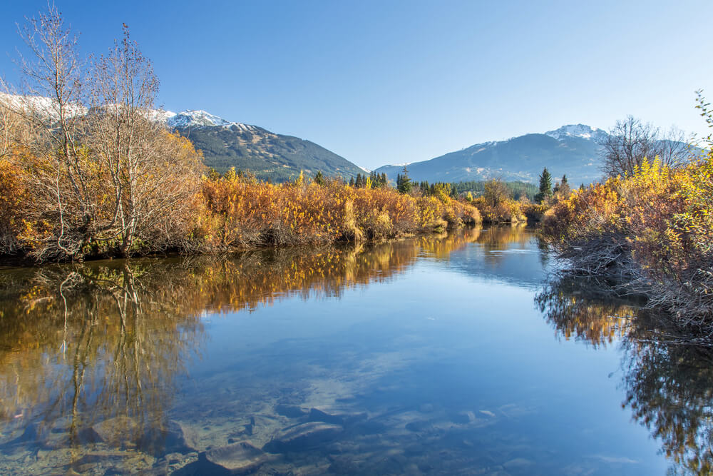 River of Golden Dreams