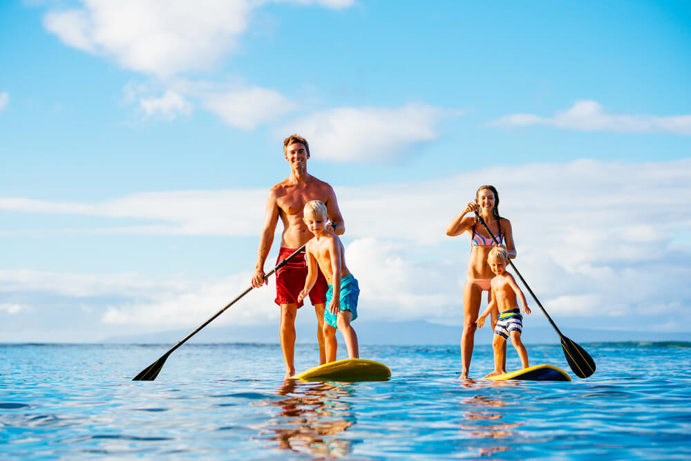 Paddle Board