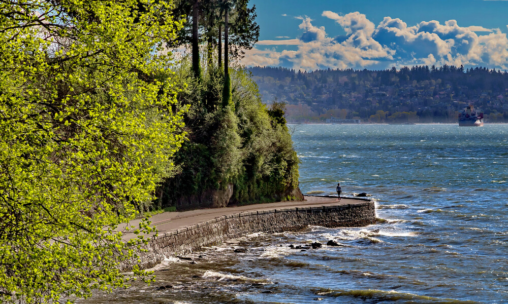 Stanley Park and Seawall