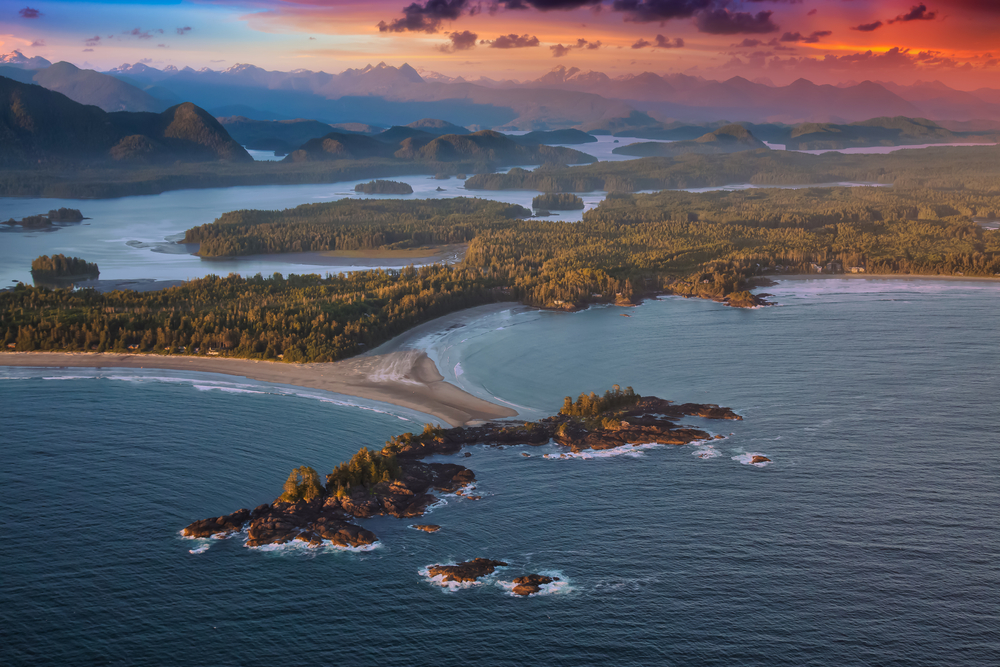  Tofino