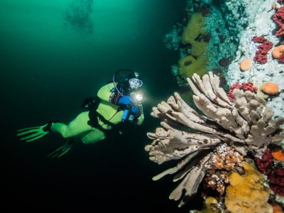 A Guide To Snorkeling In Vancouver