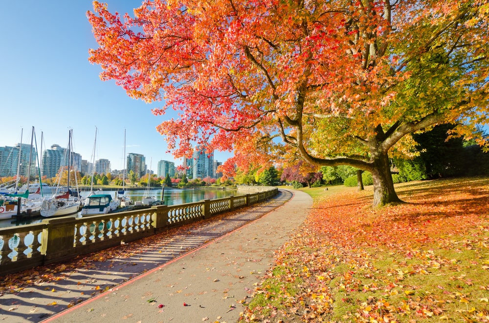 Explore Stanley Park